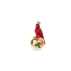Raz Eric Cortina 5" Elegant Cardinal Glass Christmas Ornament 4353115 8 Raz Eric Cortina 5" Elegant Cardinal Glass Christmas Ornament 4353115 -Holiday Decorations 4353115b 39734.1689693000