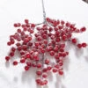 Raz 27.5" Snowy Red Berry Christmas Tree Spray F4306669 -Holiday Decorations F4306669 77732.1686061782