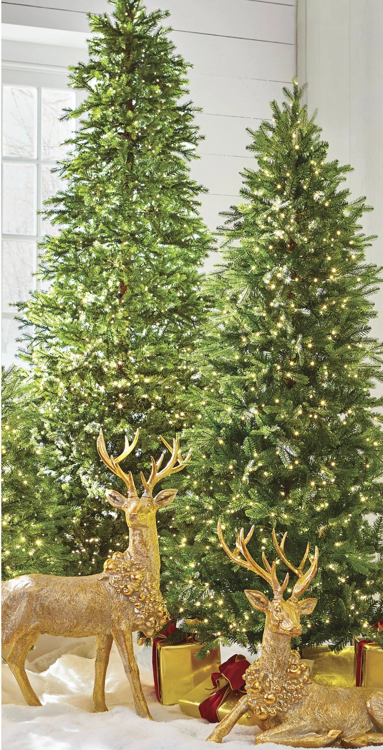 Raz 7.5' Or 9' Snake Light Green Slim Spruce Artificial Christmas Tree 3 Raz 7.5' Or 9' Snake Light Green Slim Spruce Artificial Christmas Tree