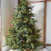 Raz 7.5' Forever Lit Green Big Sky Spruce Christmas Tree T4352009 -Holiday Decorations T4352009 37639.1686668708