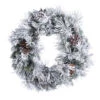 Raz 24" Snake Lighted Flocked Pine Christmas Wreath W4352015 1 Raz 24" Snake Lighted Flocked Pine Christmas Wreath W4352015 -Holiday Decorations W4352015 32179.1686682586
