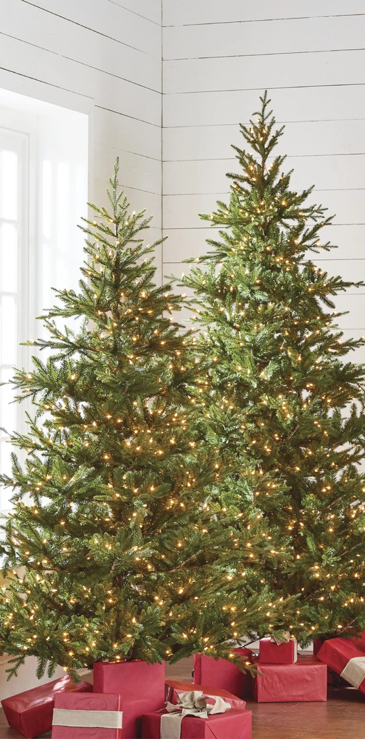 Raz 7.5' Pre-lit Green Mountain Fraser Fir Christmas Tree T4147025 3 Raz 7.5' Pre-lit Green Mountain Fraser Fir Christmas Tree T4147025