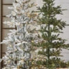 Raz 7.5' Pre-Lit Green Noble Fir Christmas Tree T4147022 -Holiday Decorations apidfivcc 65071.1691525499