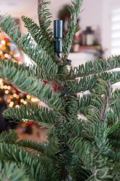 Village Lighting Universal Christmas Tree Topper Holder V-11103 -Holiday Decorations apiylnmow 47410.1646091960